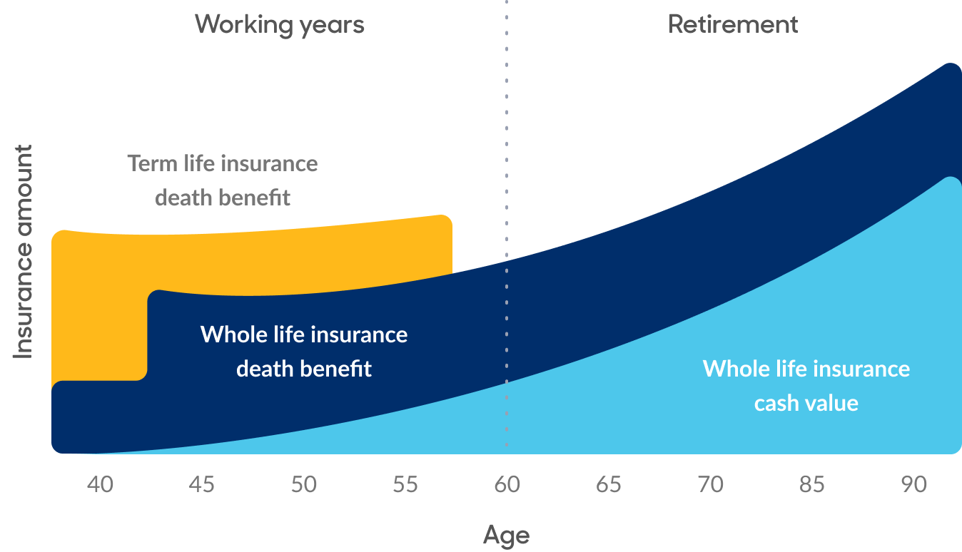 This chart represents a hypothetical combination of term and whole life insurance, and includes the cash value pattern of whole life coverage assuming that cash value is not accessed. It is not intended to represent specific products.